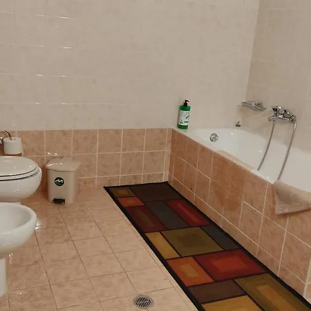 Mallios Floka Close To Ancient Olympia Flokas