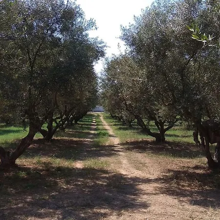 Mallios Floka Close To Ancient Olympia Holiday home