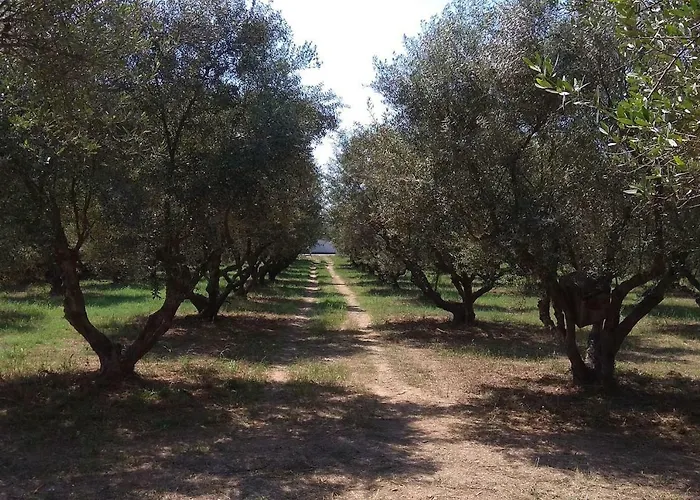 Mallios Floka Close To Ancient Olympia Casa de Férias
